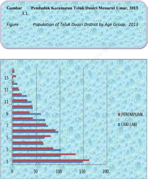 Gambar  Penduduk Kecamatan Teluk Duairi Menurut Umur, 2013                   3.1 