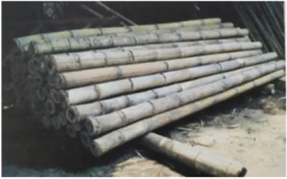 Gambar 3.4 Hasil Potongan Batang Bambu dengan Panjang 4 Meter   Sumber: (Supomo, 2016) 