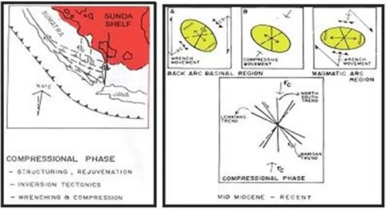Gambar 2.7. Fase Kompresi Miosen Tengah Sampai Sekarang dan  Elipsoid Model (Pulonggono dkk, 1992)