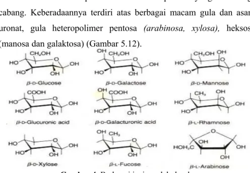 Gambar 3. Ikatan hidrogen yang menghubungkan molekul  selulosa dengan molekul selulosa yang lain (Thorpe, 1984)