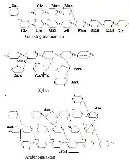 Gambar 5. Struktur berbagai molekul hemiselulosa (Thorpe, 1984)