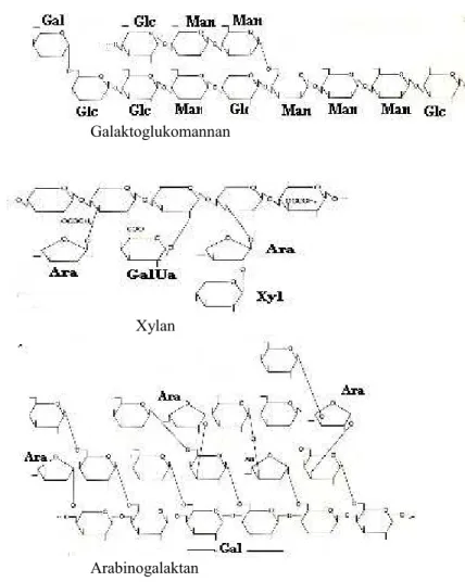 Gambar 5. Struktur berbagai molekul hemiselulosa (Thorpe, 1984)