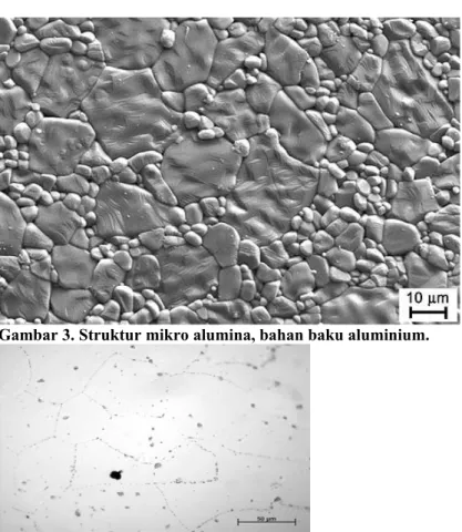 Gambar 3. Struktur mikro alumina, bahan baku aluminium. 