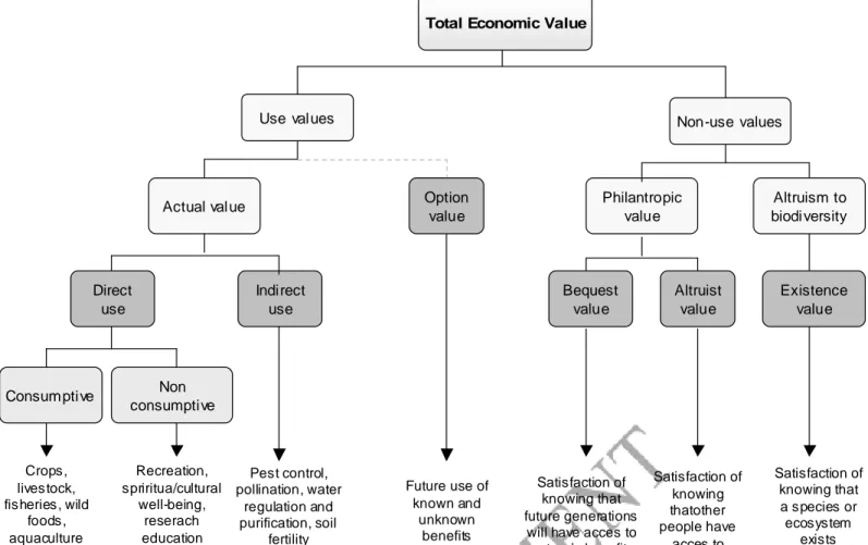 Figure 3:  Value types within the TEV approach 