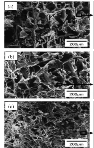 Gambar 10 Hasil analisa SEM komposit HA/kitosan-alginate dengan  penambahan HA 0% (a), 10% (b) dan 30% (c) (penelitian  Hyeong-Ho Jin dkk)