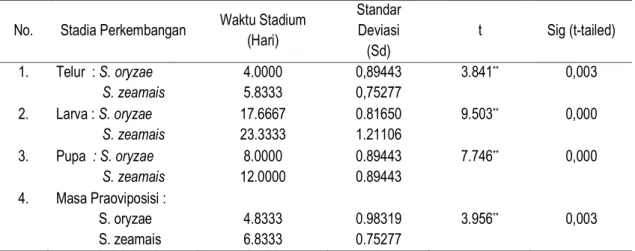 Tabel 1.  Hasil  Pengujian  Perbedaan  Stadia  Perkembangan  Sitophilus    oryizae  dan  Sitophilus  zeamais  Di   laboratorium 