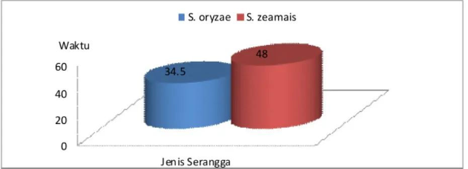 Tabel 2.  Hasil Pengujian Perbedaan Siklus Hidup Sitophilus oryzae dan S. zeamais di Laboratorium  (Table 2