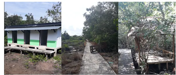 Gambar 4. Penyediaan fasilitas untuk ekowisata hutan mangrove di Kampung                      Sungai Kayu Ara