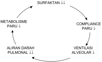 Gambar 1. Perubahan fisiologis akibat surfaktan