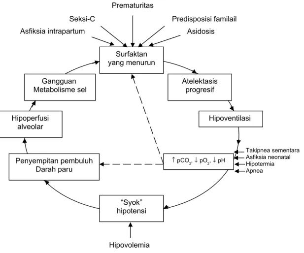 Gambar 2. Patogenesis PMH