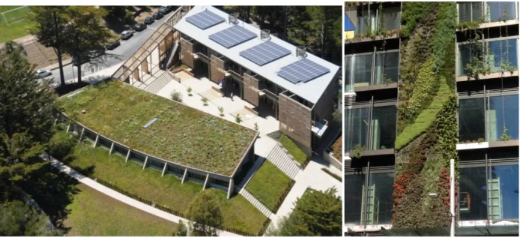 Gambar 5. Contoh Green Roof dan Vertical Landscaping  Sumber: Internet 