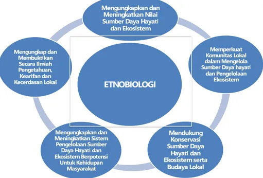 Gambar 3. Peran studi etnobiologi dalam mengungkapkan nilai keanekaragaman hayati bagi masyarakat lokal