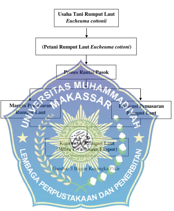 Gambar 3 Bagan Kerangka PikirUsaha Tani Rumput Laut