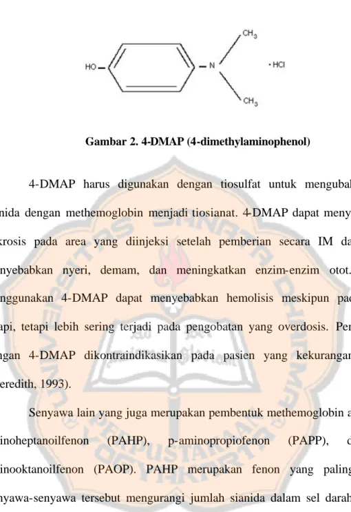 Gambar 2. 4-DMAP (4-dimethylaminophenol) 