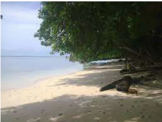 Gambar Pantai Asaibori Sumber: PEMDA  Kab.BiakNumfor 