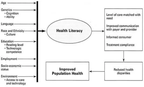 Gambar 2.1 Model Determinants of Health Literacy (18)