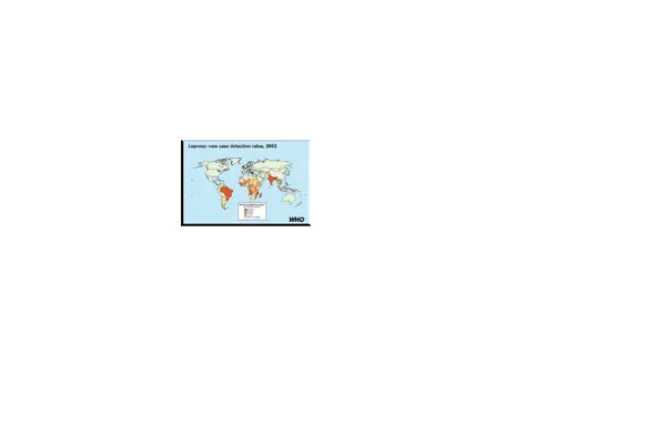 Gambar 2 .1 Penyebaran Lepra di Dunia ( WHO, 2002)
