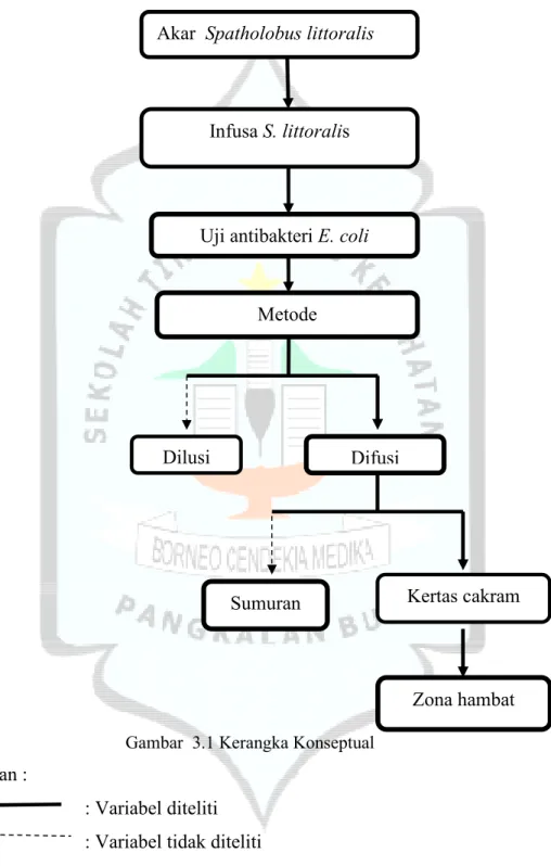 Gambar  3.1 Kerangka Konseptual  Keterangan :  