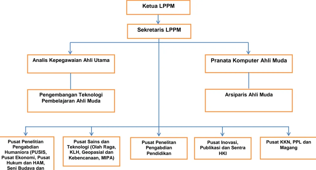 Gambar 1. Struktur Organisasi LPPM Universitas Negeri Medan Ketua LPPM 