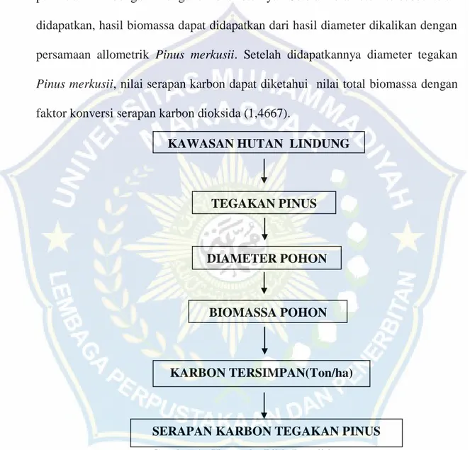 Gambar 1.  Kerangka Pikir Penelitian  KAWASAN HUTAN  LINDUNG 