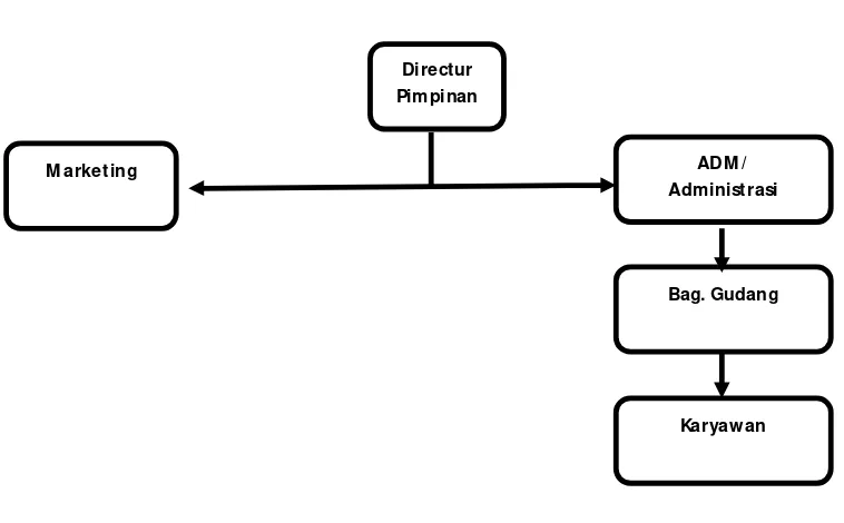 Gambar 2.1 Struktur organisasi Camo Distro   