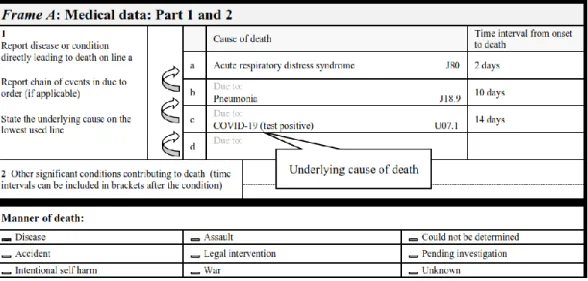 Gambar  8    :  Pilih  COVID-19  sebagai  Sebab  Dasar  Kematian.  Langkah  SP3  digunakan  karena sebab kematian dilaporkan pada lebih dari satu baris pada Bagian I dan sebab  kematian yang dilaporkan pada baris terbawah (COVID-19) dapat menyebabkan semua
