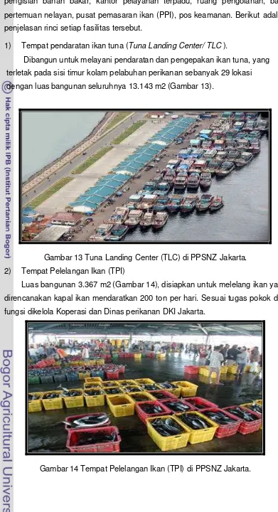 Gambar 14 Tempat Pelelangan Ikan (TPI) di PPSNZ Jakarta. 