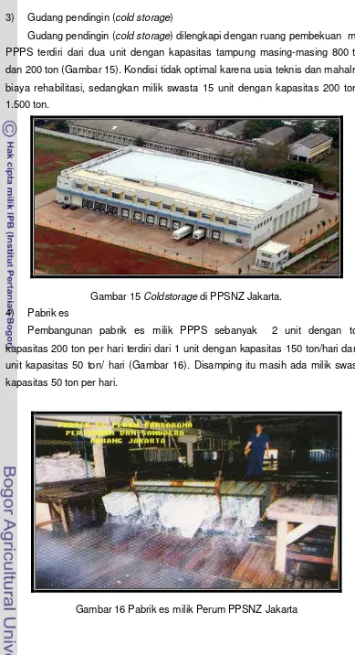 Gambar 15 Coldstorage di PPSNZ Jakarta. 