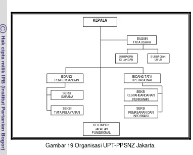 Gambar 19 Organisasi UPT-PPSNZ Jakarta. 