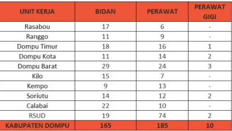 Tabel  berikut  menggambarkan  jumlah  tenaga  Bidan  dan  Perawat  yang  ada           di Kabupaten Dompu Tahun 2016
