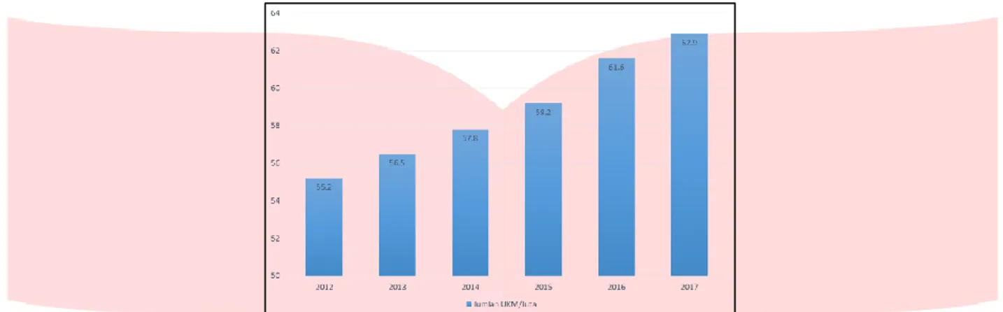 Gambar I. 1 Grafik Pertumbuhan UMKM Tahun 2012-2017 