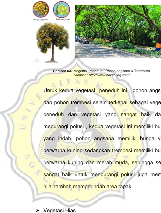Gambar 63.  Vegetasi Peneduh ( Pohon angsana &amp; Trembesi) Sumber : http://www.ediginting.com/