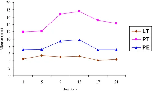 Gambar 2. Grafik Pengamatan Metamorfosis dengan Ukuran Panjang Ekor, Panjang tubuh  dan Lebar kepala dengan pengamatan pada hari ke-1, 5, 9,13, 17 dan 21