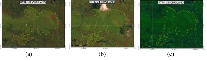 Gambar 4 Citra Landsat dengan komposit RGB 