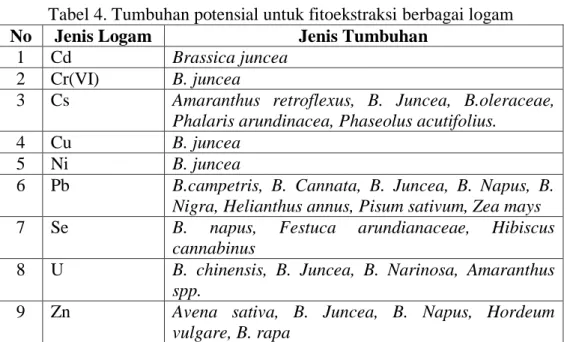 Tabel 4. Tumbuhan potensial untuk fitoekstraksi berbagai logam  No  Jenis Logam  Jenis Tumbuhan 