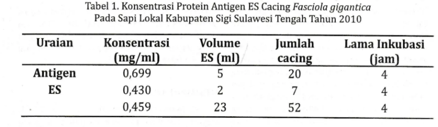 Tabel  1.  Konsentrasi Protein Antigen  ES  Cacing  Fasciola  gigantica Pada Sapi  Lokal Kabupaten  Sigi  Sulawesi  Tengah  Tahun 2010