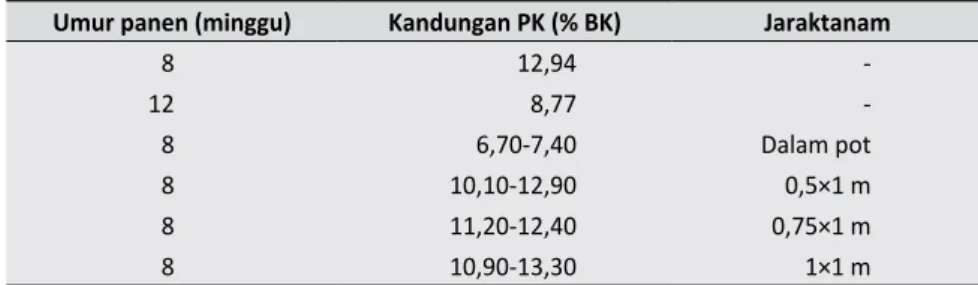 Tabel 5. Kandungan PK Rumput Gajah Mini Berdasarkan Umur dan Jarak Tanam Umur panen (minggu) Kandungan PK (% BK) Jaraktanam