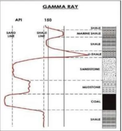 Gambar 2. 3 Respon log gamma ray terhadap berbagai litologi (Rider,1996) 