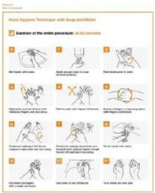 Gambar 4. Panduan Mencuci Tangan dari World Health Organization (WHO) 