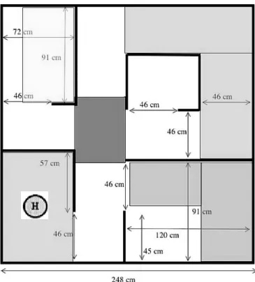 Gambar 1. Pada mode A rbitrary S tart, posisi Home diacak disalah  satu ruangan yang ada  (diundi) 