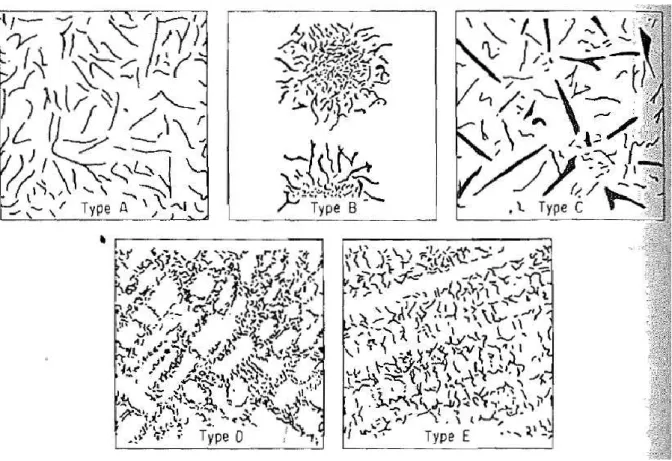 Gambar II.8. Macam-macam tipe penyebaran grafit flake. 