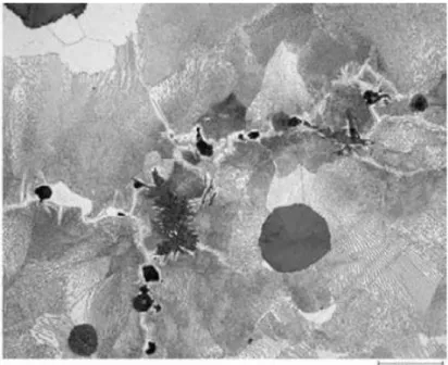 Gambar II.11. Besi tuang nodular perlitik, memperlihatkan spheroid grafit dalam matriks perlit