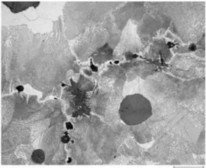 Gambar II.11. Besi tuang nodular perlitik, memperlihatkan spheroid grafit dalam matriks perlit