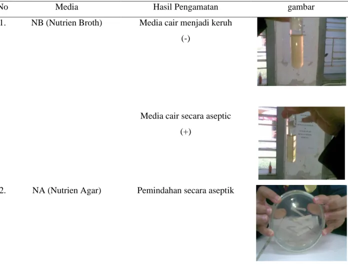 Tabel 1 Hasil pengamatan pemindahan biakan mikroba secara aseptik 