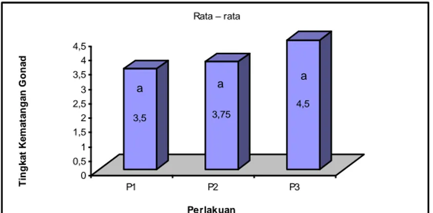 Gambar 1.  Histogram  TKG  IV  ikan  uji  dari  masing-masing  perlakuan  pakan  yang  berbeda   3,5 3,75 4,500,511,522,533,544,5P1P2P3Rata – rata