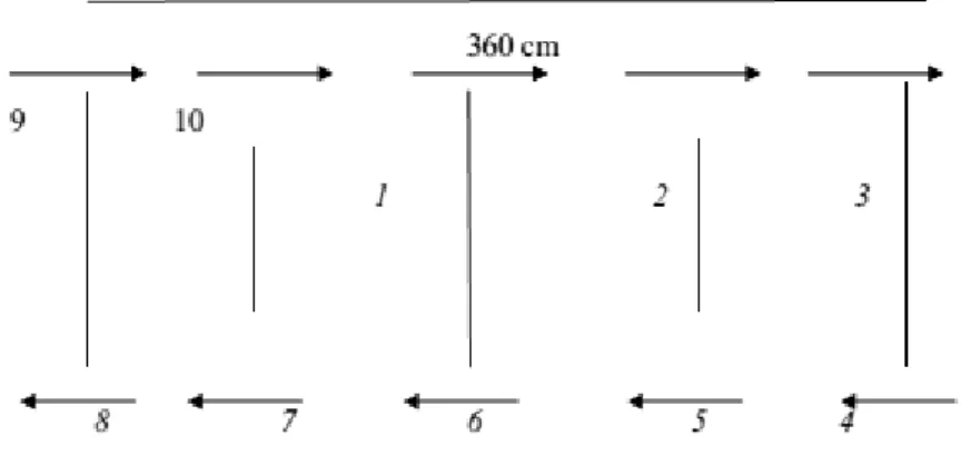 Gambar 2. Pola Side Step Test  3. Shuttle Run Test