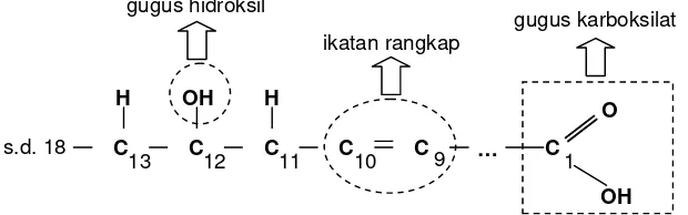Gambar 5. Ikatan rangkap dan dua gugus aktif dalam asam risinoleat 
