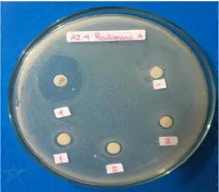 Gambar  1.  Daya  hambat  isolat  bakteri  proteolitik  terhadap  bakteri  patogen 