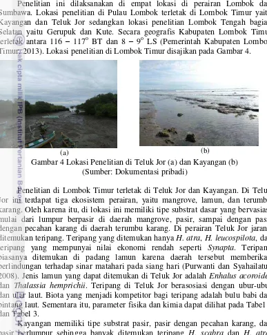 Gambar 4 Lokasi Penelitian di Teluk Jor (a) dan Kayangan (b) 