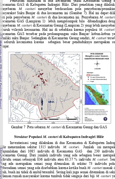 Gambar 7  Peta sebaran M. casturi di Kecamatan Gaung dan GAS 